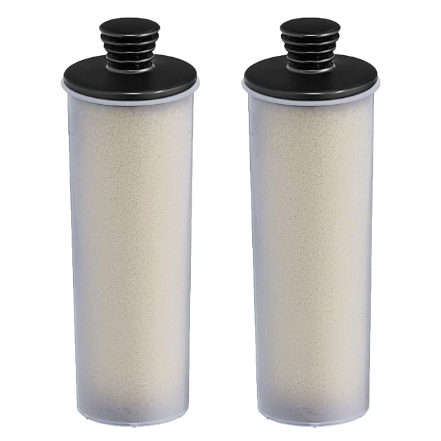 Cartuchos antical Kärcher SC 3 para limpiadoras de vapor, fotografía de producto